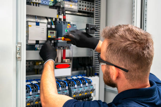 Best Electric Panel Repair  in Chadwicks, NY